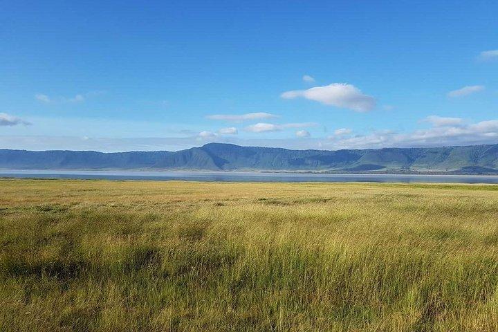 4 Days Tanzania Luxury Safari