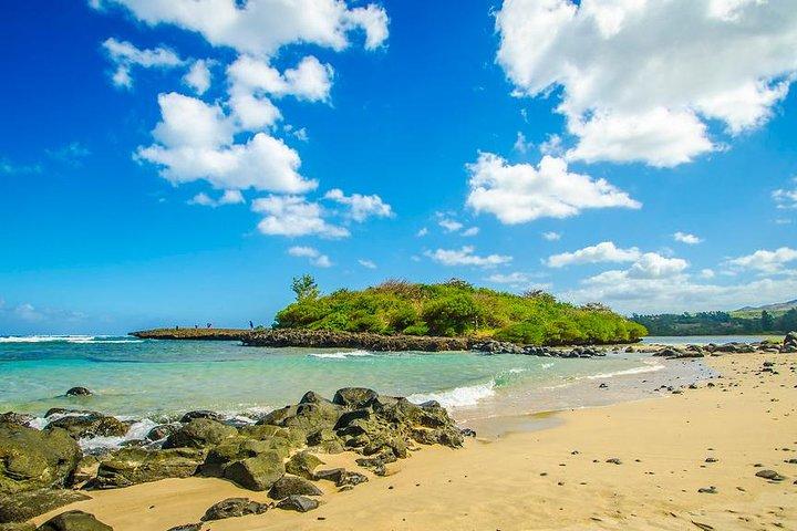Tropical South-West: Full-day All Inclusive tur (besøg 3 parker)