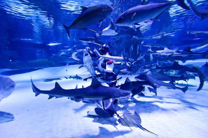 Antalya Tunnel Aquarium - Vertrek vanaf Side