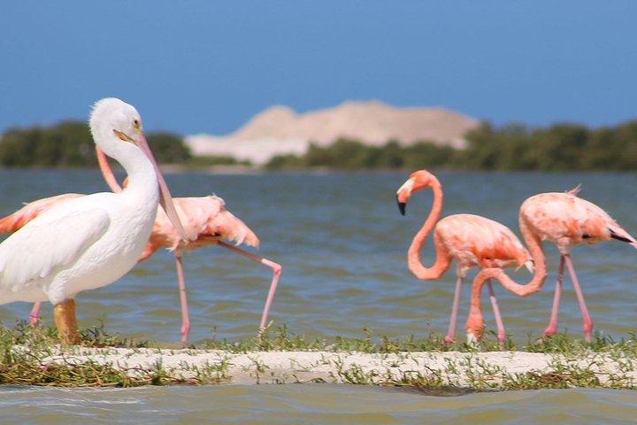 Tour privato alla scoperta dello Yucatan