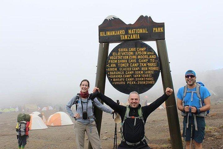 Dagtur i Kilimanjaro National Park