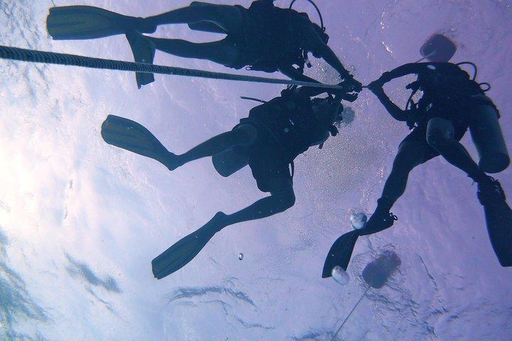 Kom med til en RAID Try Dive i Kota Kinabalu