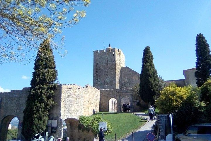 Arrábida Tour: Palmela, Setúbal, market, wine