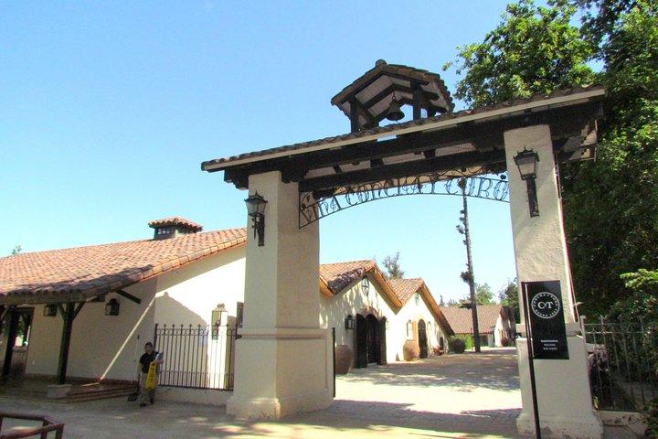 Privé Andes-dagtocht Maipo Valley met Concha Y Toro Wine Tour