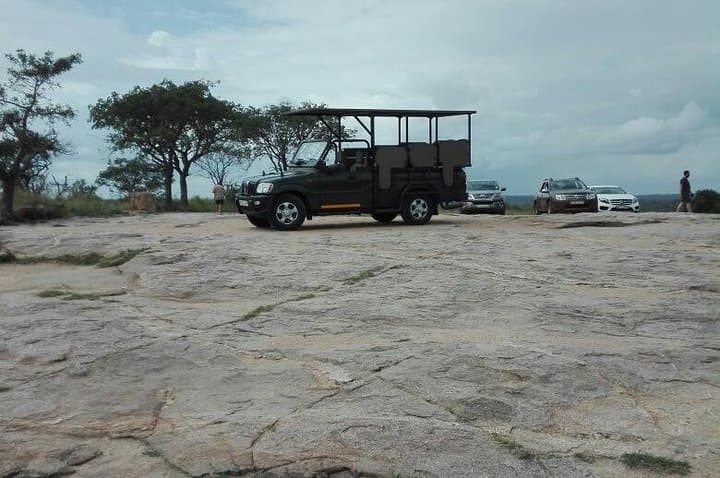 Kruger National Park Half Day Game Drive