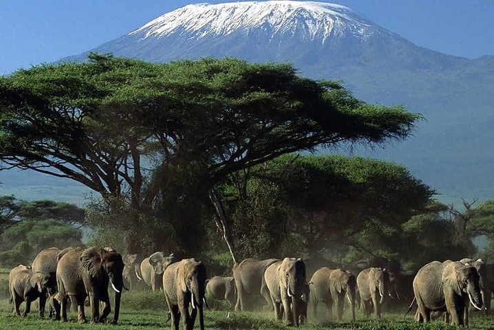 2-Day Amboseli National Park Safari- Daily Departures