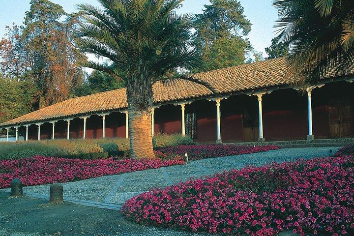 Santa Rita Winery Premium Tour