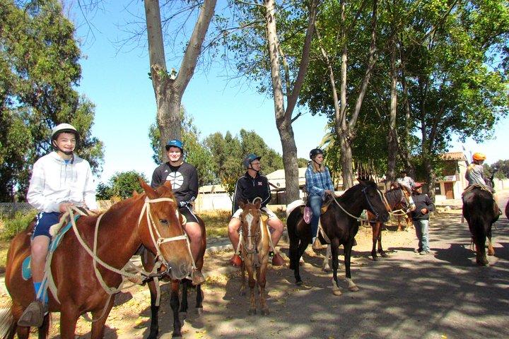 Viña del Mar och Valparaiso Private Tour inklusive ridning