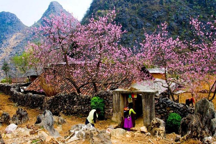 Ha Giang - Quan Ba- Yen Minh- Ma Pi Leng- Dong Van 3 dagen 2 nachten