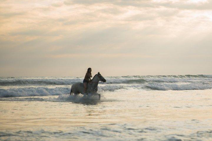 Zonsondergang & paarden