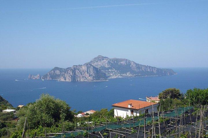 Privé Capri,Grotte Bleue,Sorrente et Pompéi de Positano/Amalfi
