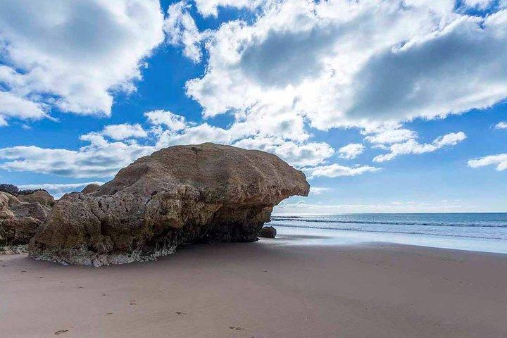 Costa do Algarve e Praias - Tour Privado