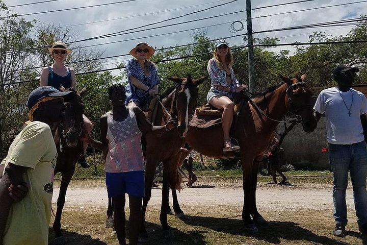 Visite guidée d'une heure à cheval au départ de Runaway Bay