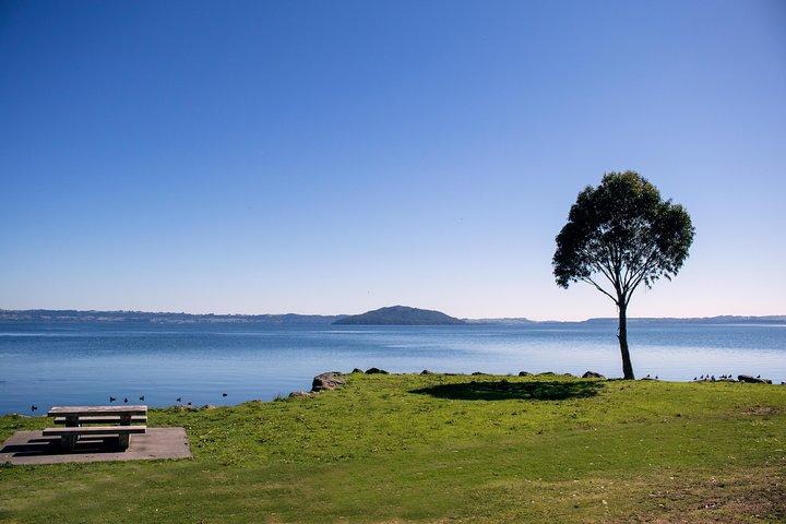 Rotorua Entenboot Stadt- und Seenrundfahrt