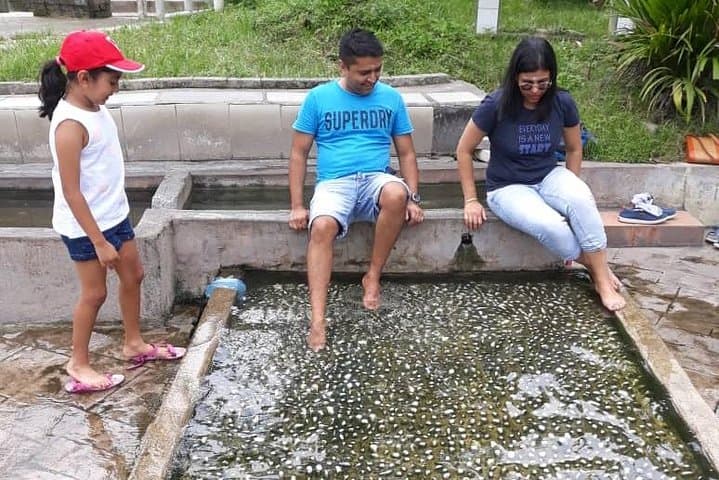 Back to Nature Tour - Templer's Park, Hot Spring & Batu Caves