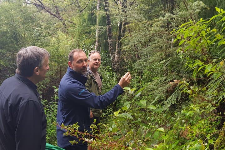 Coast and Rainforest Eco-Tour from Auckland with Picnic Lunch