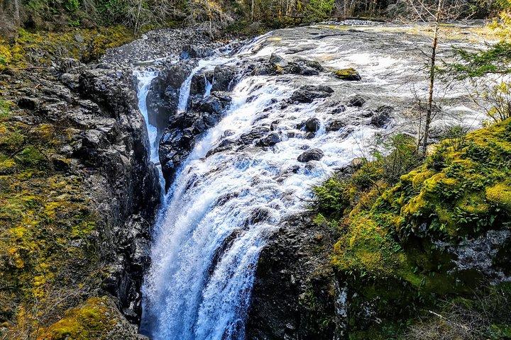Cascate, Coombs e tour della foresta pluviale di Cathedral Grove
