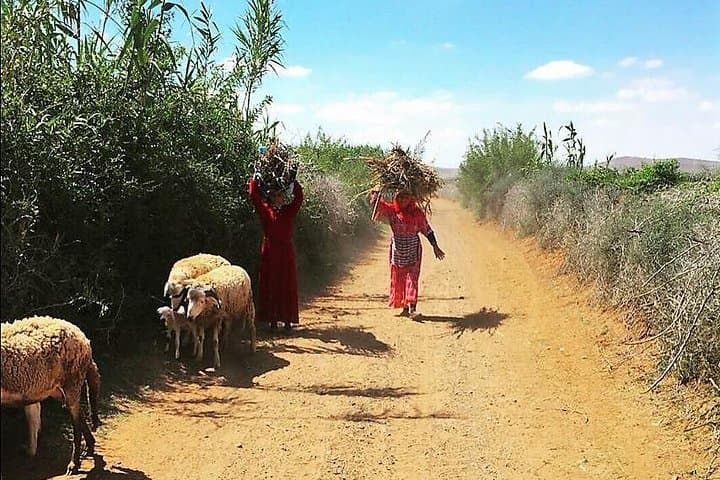 Marrakech Desert Buggy Tour with Berber Tea Break and Transfer