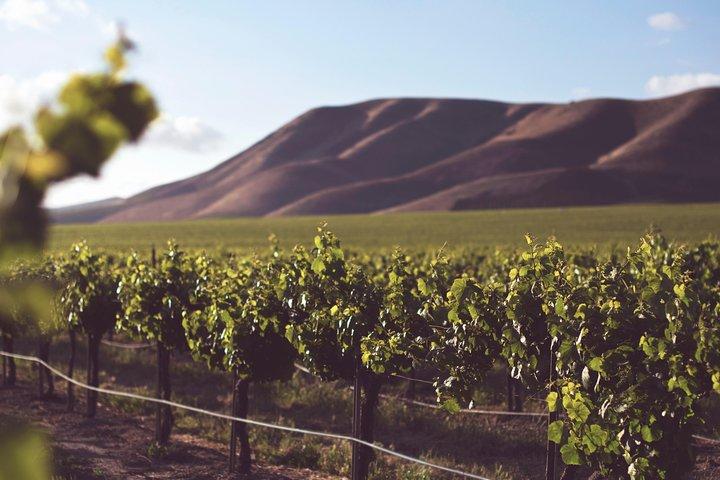 Privat Cape Winelands vinsmagningstur
