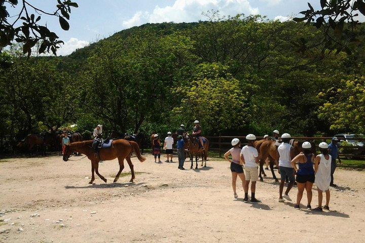 Green Grotto Caves Horseback Riding Adventure from Montego Bay