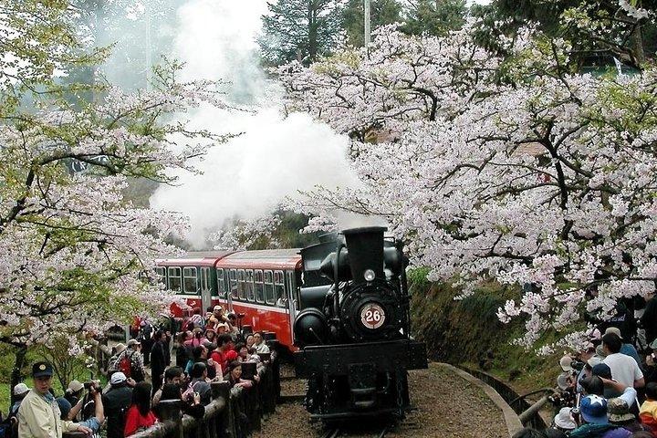 2日間の日月潭と阿里山森林公園ツアーパッケージ