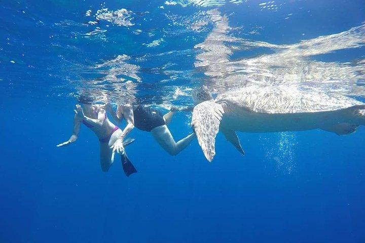 Meraviglie subacquee di North Gili