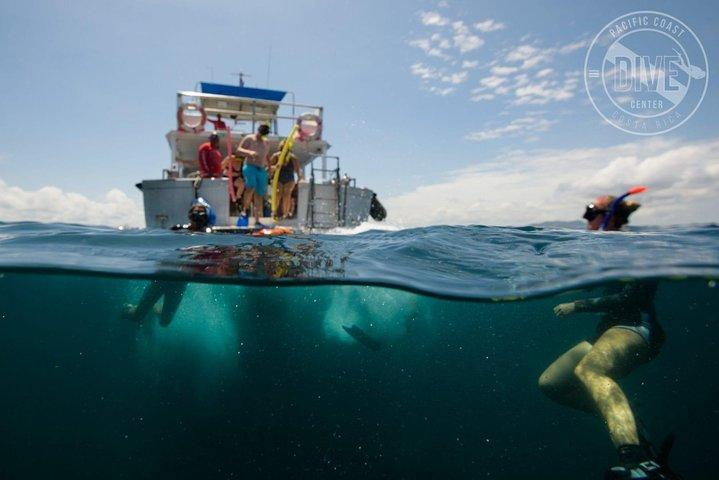 Snorkeling em Ilhas Catalina e Ilha do Norte - CR