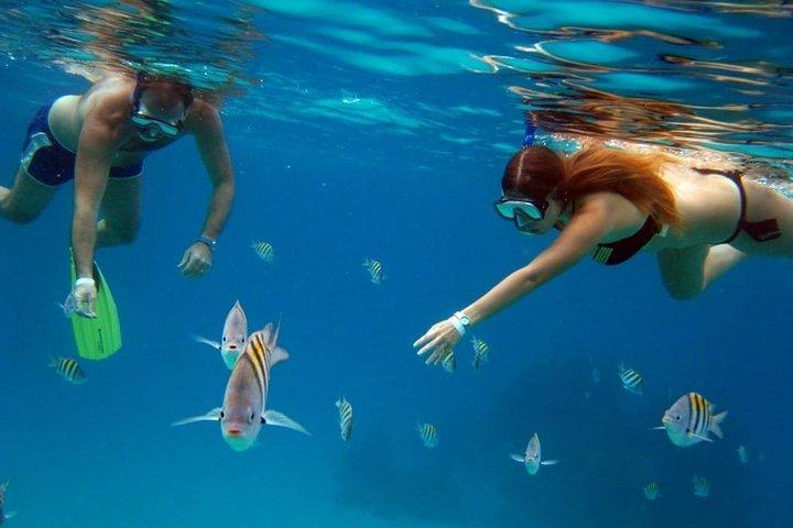 Entrada oficial Chankanaab Park e snorkeling com almoço