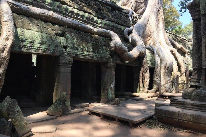 Excursión privada VIP privada de Angkor Wat al amanecer privado