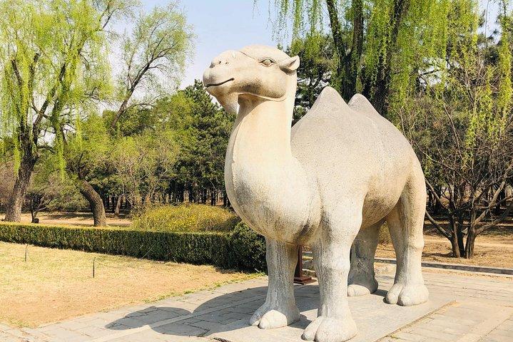 明の十三陵、ラマ教寺院、景山公園の 1 日プライベート ツアー