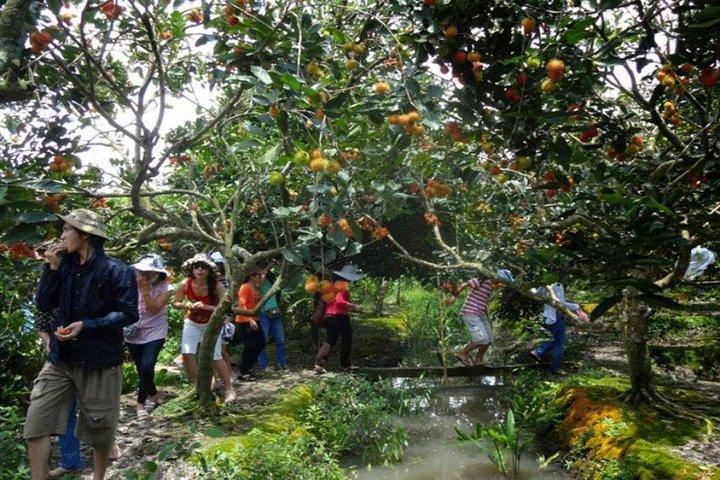 Mekong River 1-Tages-Gruppentour