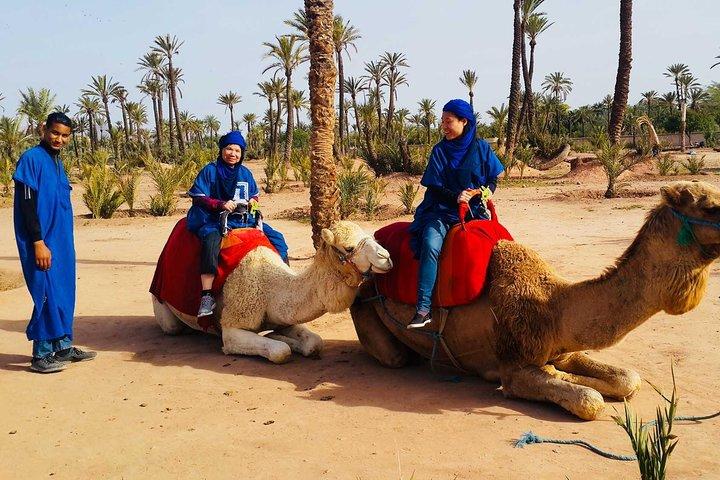 Camel Ride Marrakech