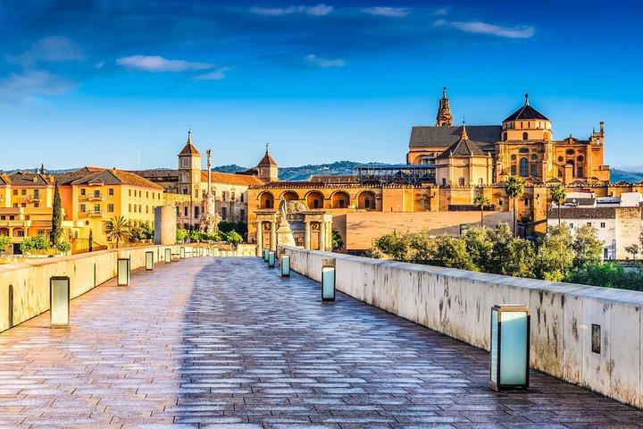Cordoba Highlights: Guided Day Tour fra Sevilla