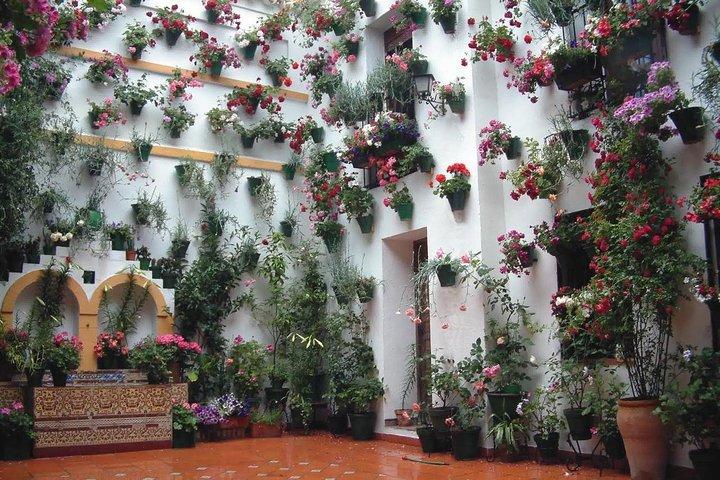 Cordoba Highlights: Guided Day Tour fra Sevilla
