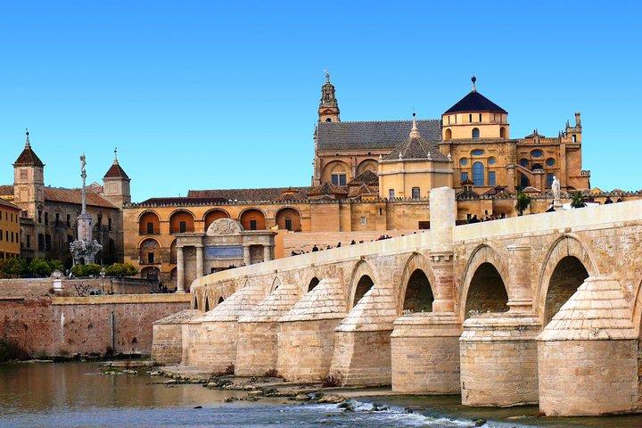Cordoba Highlights: Guided Day Tour fra Sevilla