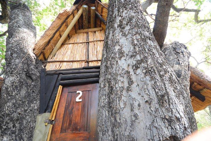 5-daagse Lodge en Treehouse Kruger National Park Safari