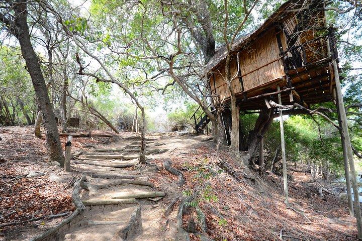 5-daagse Lodge en Treehouse Kruger National Park Safari