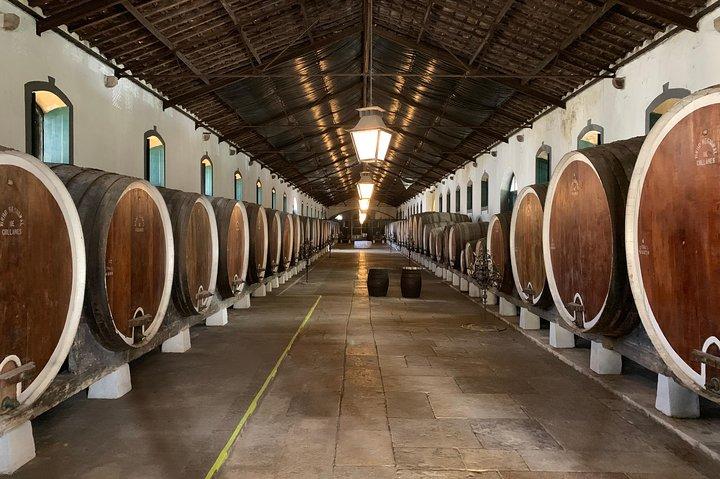 Half Day in Sintra and Cabo da Roca with Wine Tasting