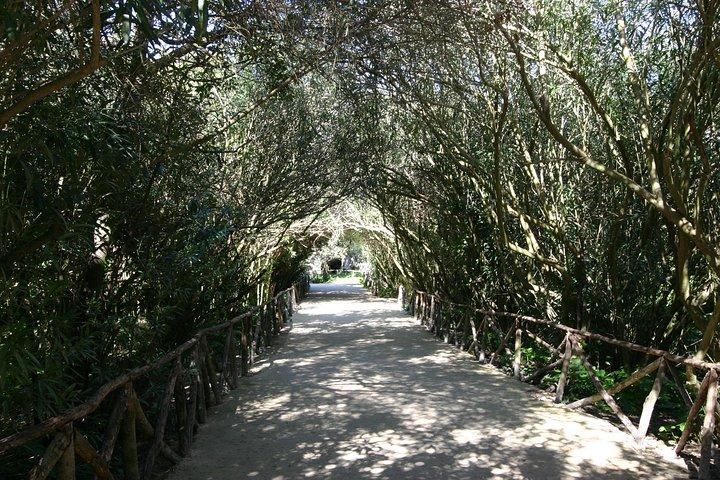 Ancient Syracuse: privérondleiding door het archeologische park van Neapolis