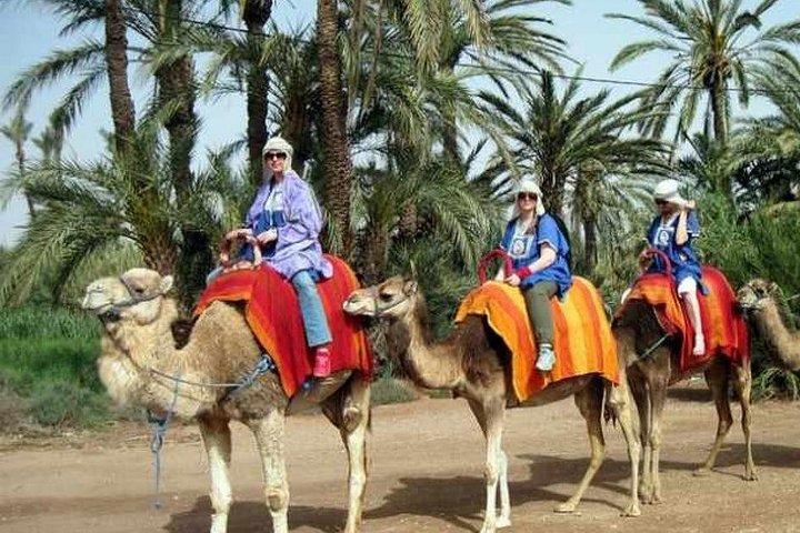 Camel Ride Marrakech