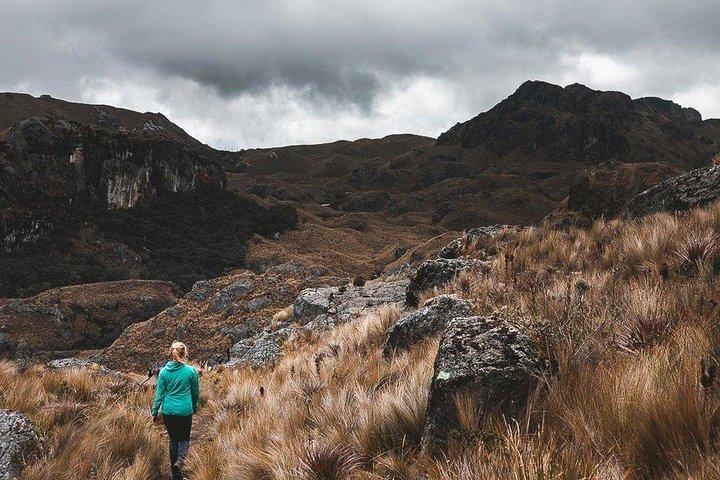 Privat trekking heldagstur i Cajas National Park