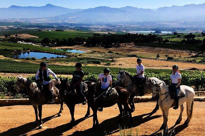 Intera giornata – Degustazione di vini Ippovia