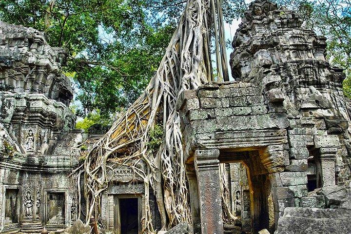Excursión privada de un día a los templos de Angkor Wat y al lago Tonle Sap