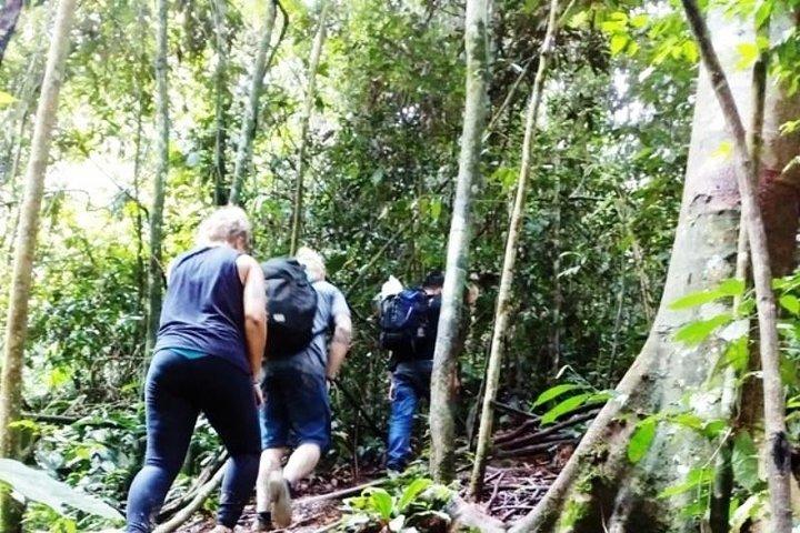 All-in 3N/4D Bukit Lawang-tur til skolen
