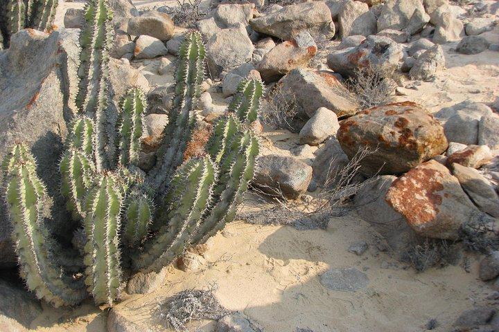 Mineraltour ab Swakopmund rund um den Rossing