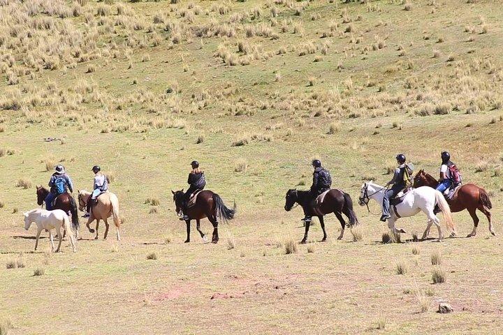 Excursion d'une journée à Cusco Équitation Mystic Tour Service complet Les plus recommandés