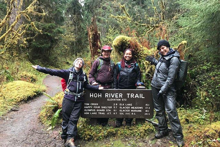 3 giorni in Olympic National Park da Seattle: Silent Forest - Hoh Rainforest