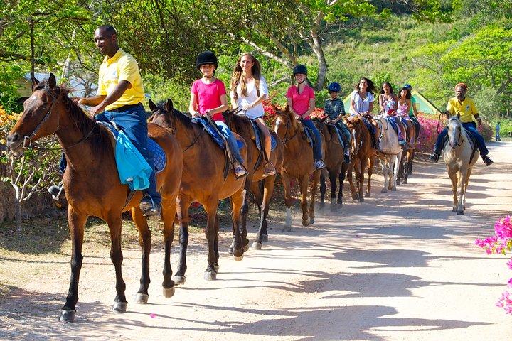 Jamaica Zipline e Horseback Ride n Swim Adventure Tour da Runaway Bay