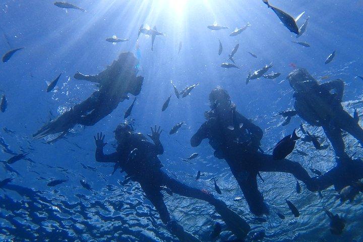 青の洞窟エリアでシュノーケル!【沖縄県】餌付け&写真画像無料!English、中国語ガイド可能!