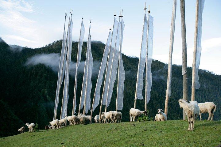 Glimpar av Bhutan - 4 dagar Tour
